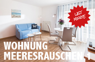 Aktuelles Angebot!