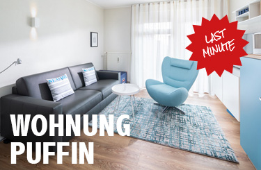 Aktuelles Angebot!