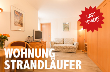 Aktuelles Angebot!